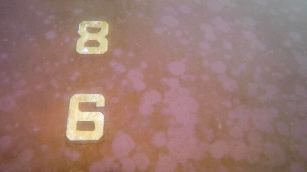 水中ドローン活用事例02