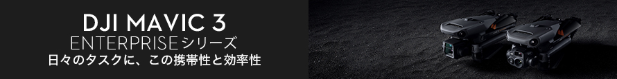 DJI Mavic 3 Enterprise