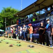 HOBBYWINGCUP01_thumb