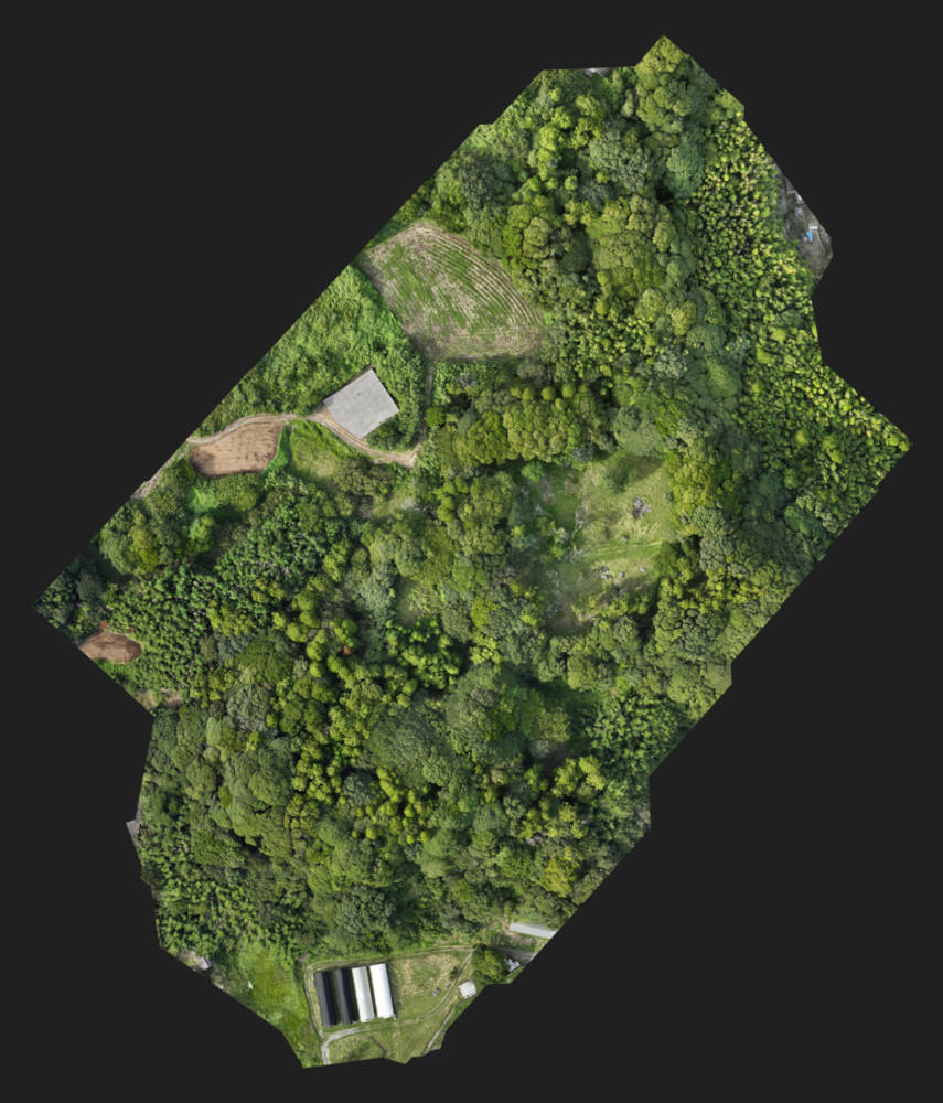 ZenmuseL2 検証レビュー_05