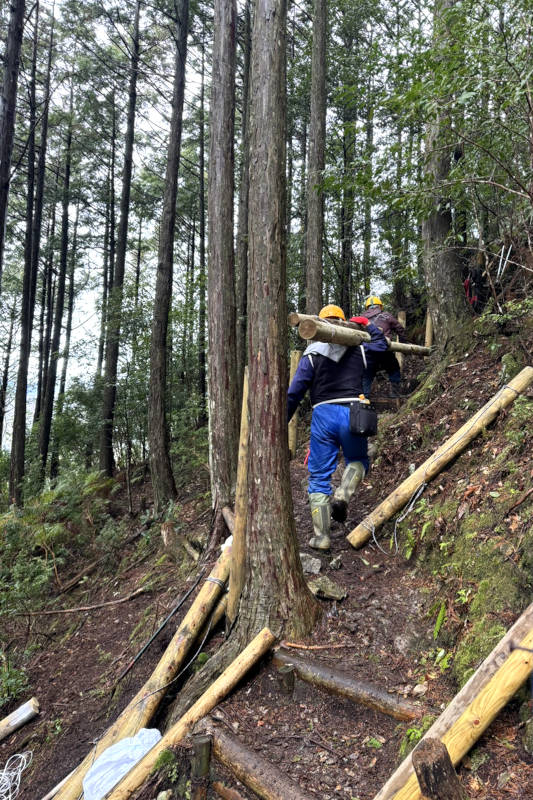 FlyCart 30_Forestry material transport_03
