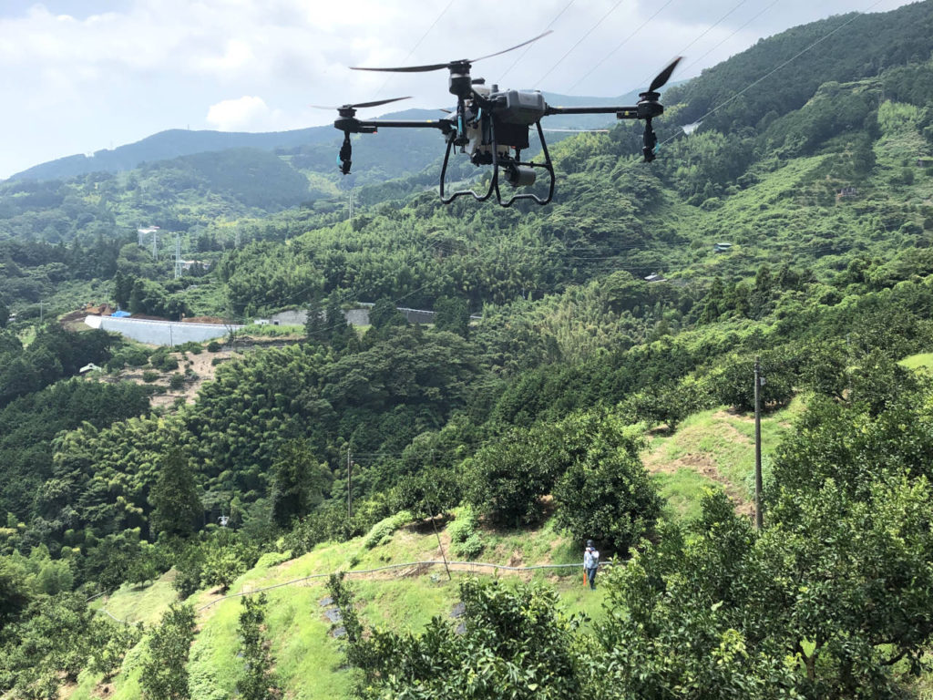 カンキツ圃場ドローン農薬散布_07