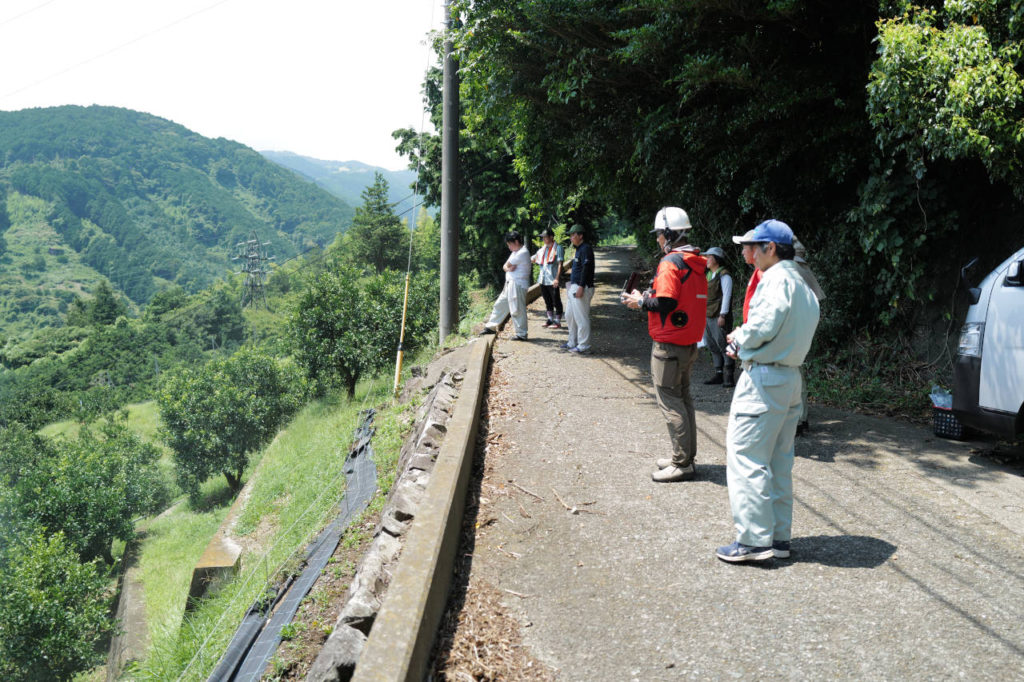 カンキツ圃場ドローン農薬散布14