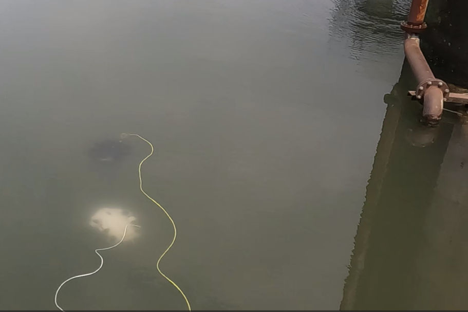 fifish e-go_v-evo_05