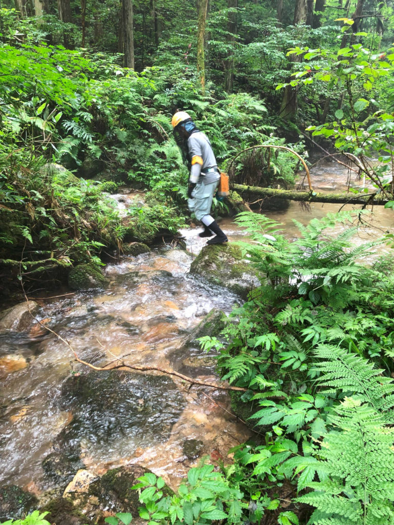 山岳鉄塔資材ドローン搬出09_s