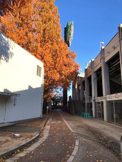 Ballpark lighting replacement by drone_02