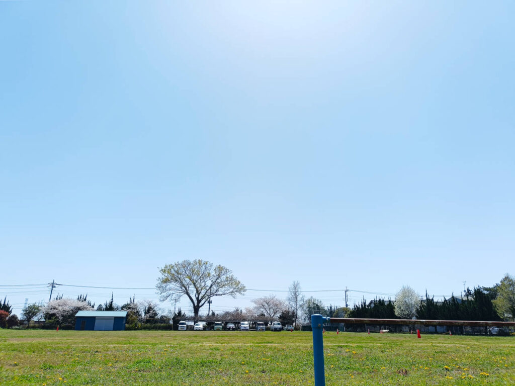 fr4000_Mowing with a robot_14