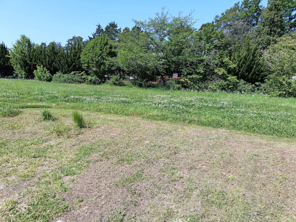 fr4000_Mowing with a robot_22