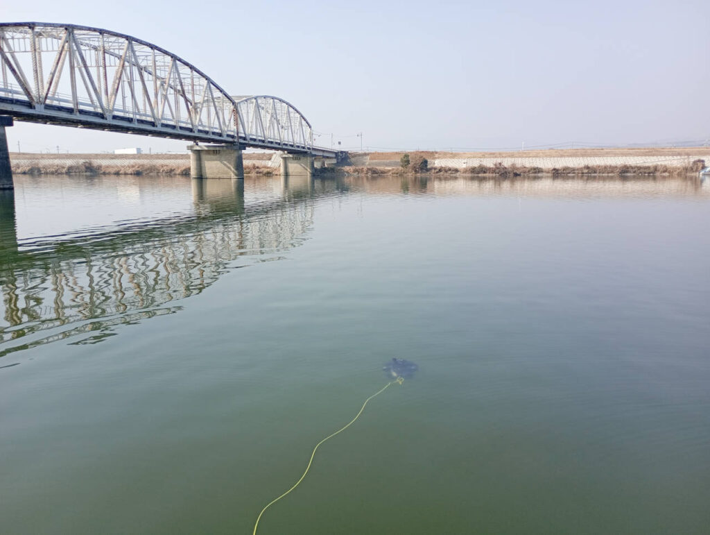 River bridge inspection in ROV_02_s