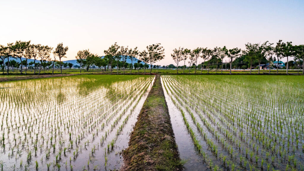 fjd al02 levelersystem_03