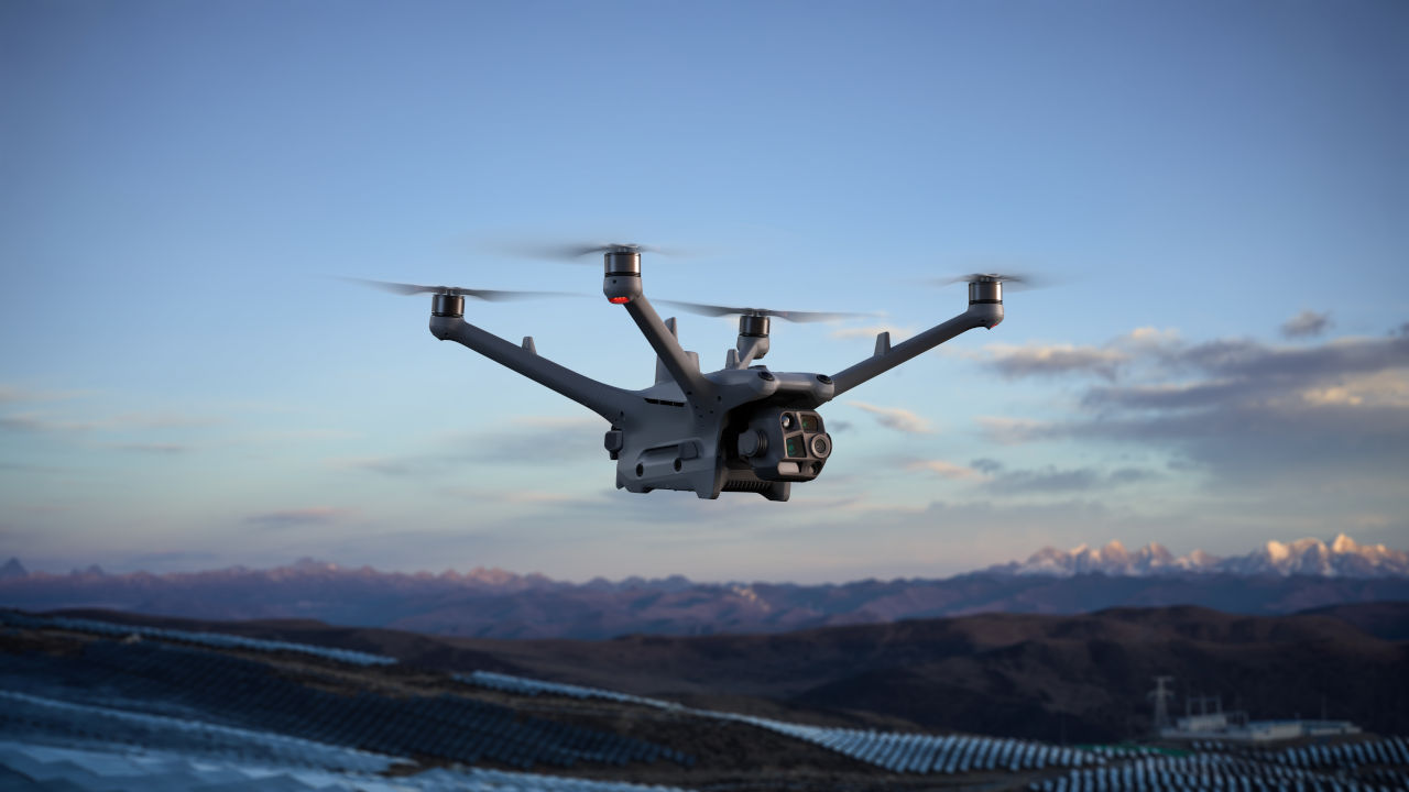 Drone bear detection_01