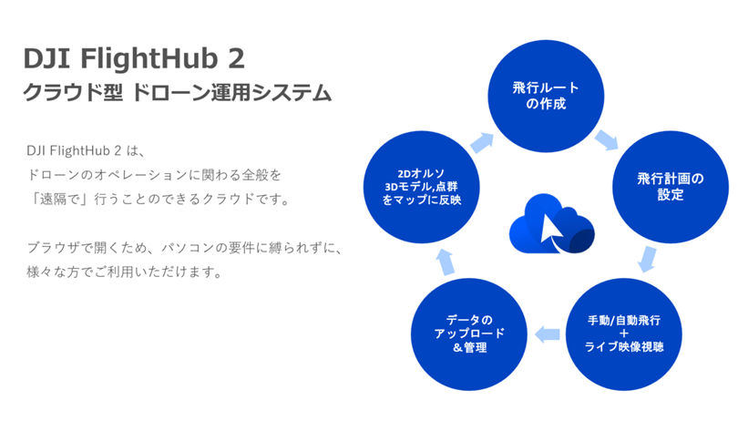 Drone bear detection_03