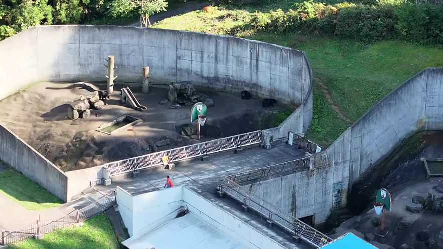 Drone bear detection_04