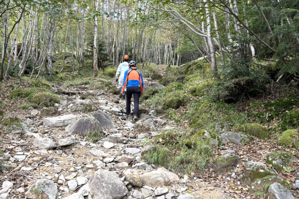 Streamlining Mountain Trail Maintenance with Drones_02